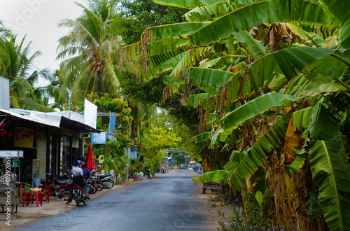 Rural landscape at Ben Tre, Mekong Delta, Vietnam, green banana tree and coconut tree make calm scenery for eco travel at village in rainy day of summer
