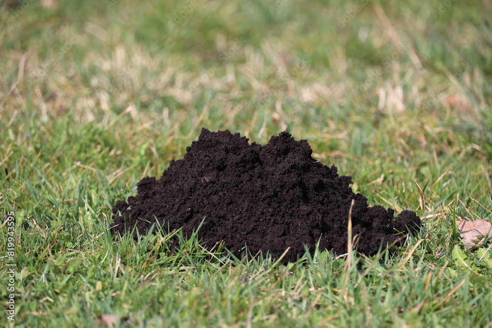 A pile of dirt is on the grass A pile of dirt is on the grass