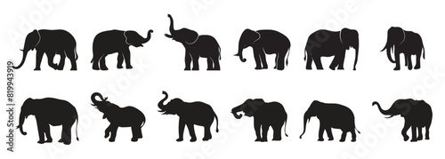 set of Elephant silhouette vector