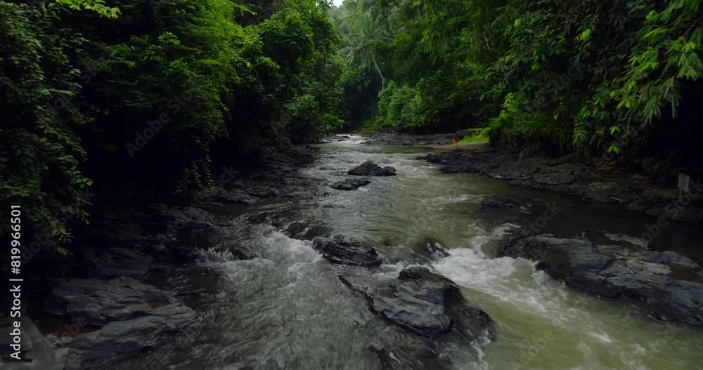 River in tropical green rainforest, 4K Aerial drone top view shot River in tropical green rainforest, 4K Aerial drone top view shot