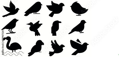 Bird Vector and Bird Logo
