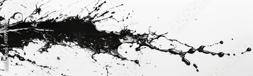 Black and white paint splash on white background