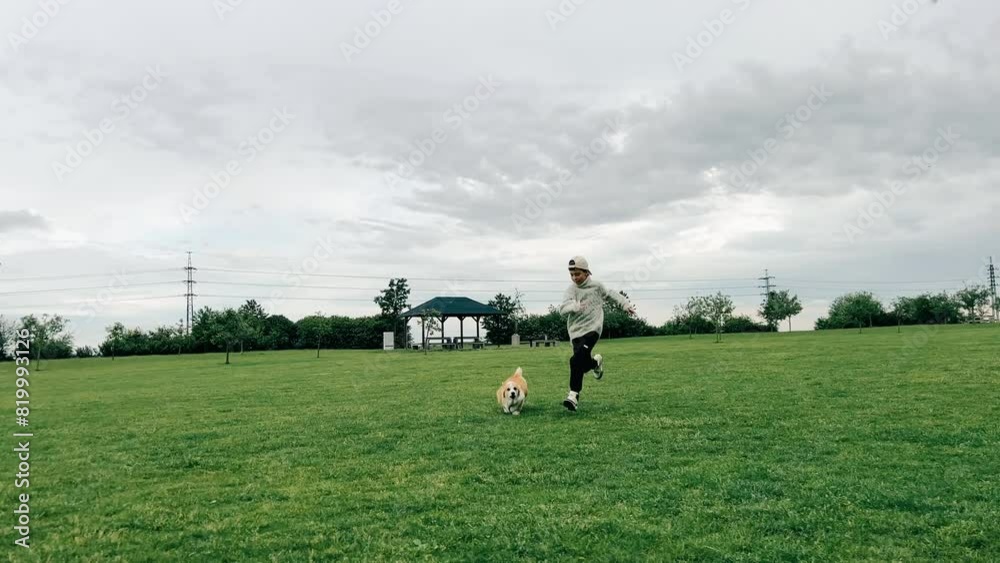 Teen boy running with a corgi dog across a field, family day out Teen boy running with a corgi dog across a field, family day out