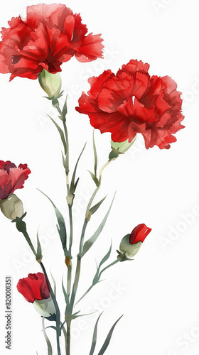 painting watercolor flower background illustration floral nature. Red flower background for greeting cards weddings or birthdays. Copy space. 