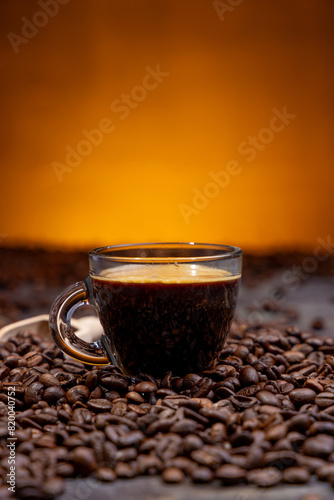 Gourmet Delight: Exquisite Coffee Beans in Focus