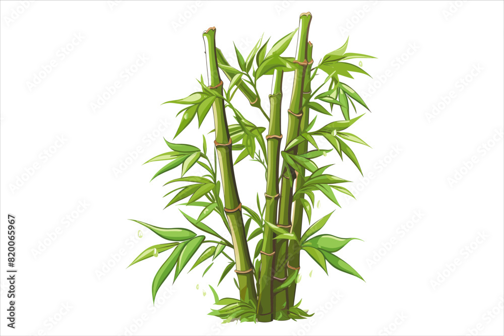 Fototapeta premium A cluster of bamboo with green Leaves and stems against a white background. BAMBOO VECTOR. 