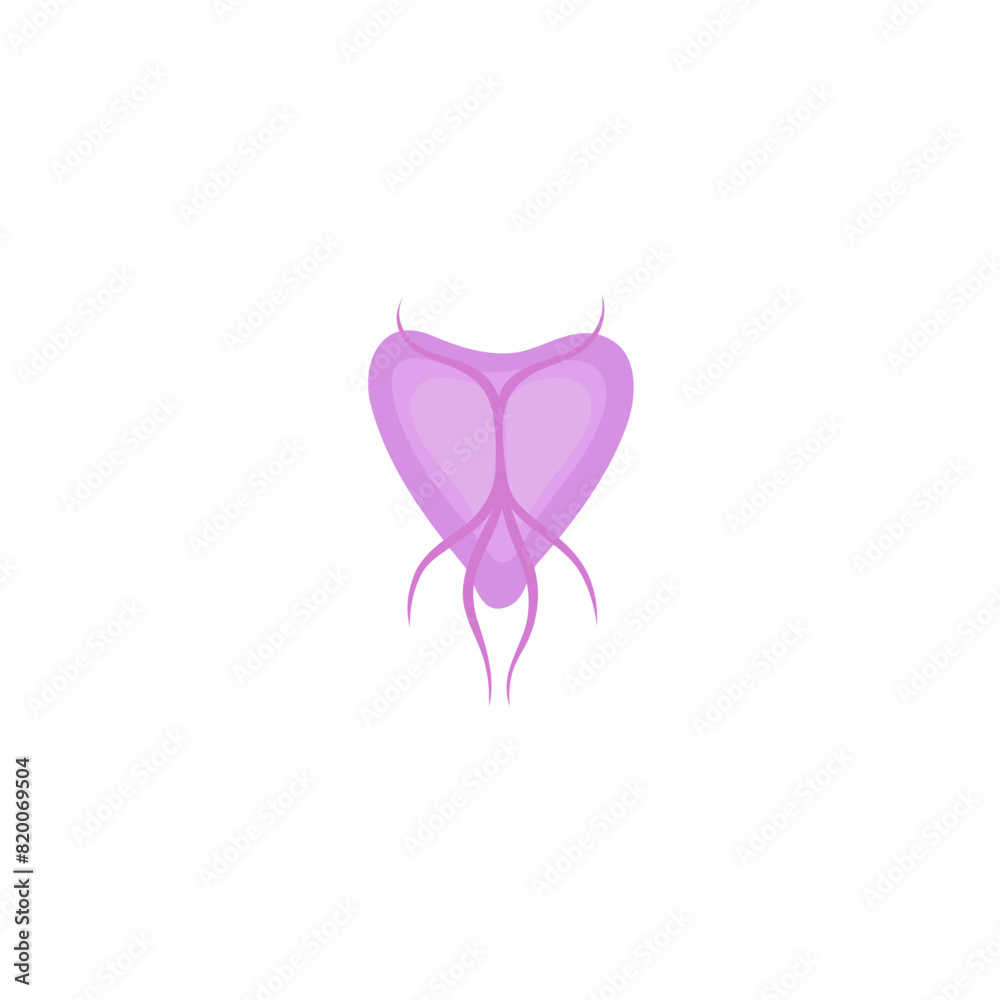 Giardia Parasites Illustration Giardia Parasites Illustration