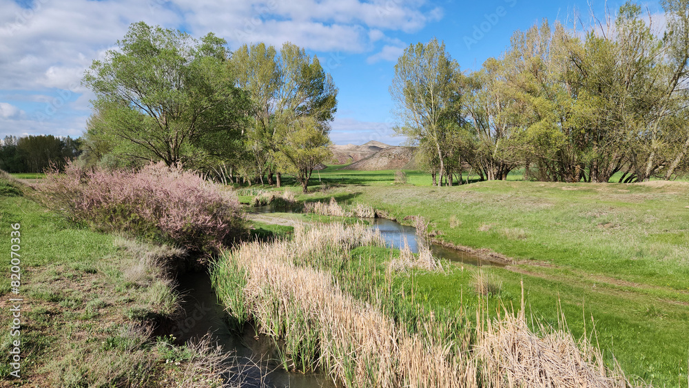 Obraz premium Melemez stream in Kizilova village in Sivas province in the Central Anatolia region of Turkey