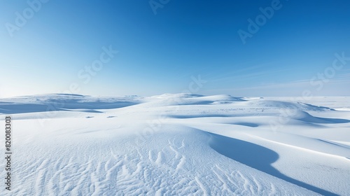 Pristine snow covers the tundra to the horizon under a clear blue sky.