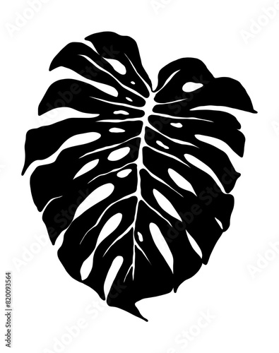 Vector monstera leaf. Botanical illustration of a black silhouette of a monstera isolated on a white background. Tropical leaf, hand drawn exotic plant. EPS10 - vector.