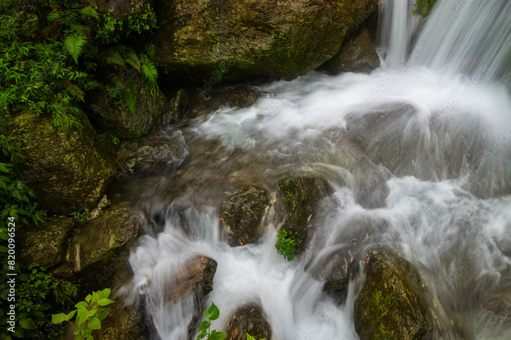 Fototapeta premium Beautiful Paglajhora waterfall on Kurseong, Himalayan mountains of Darjeeling, West Bengal, India. Origin of Mahananda River flowing through Mahananda Wildlife Sanctuary, Siliguri and Jalpaiguri.