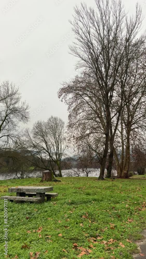 Leafless Trees and Stone Benches in Winter Park