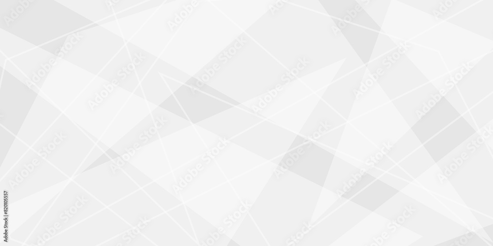 Fototapeta premium Abstract elegant background white and gray triangle texture. Abstract white and grey geometric overlapping line pattern abstract futuristic background design. data concept. vector illustration.