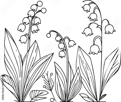 Lily Of The Valley Line Art. Lily Of the Valley outline Illustration, May Birth Month Flower. Lily Of the Valley flower outline drawings isolated on white. Hand-painted line art lily of the valley

