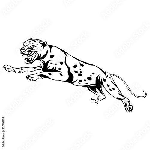 vector illustration of leopard