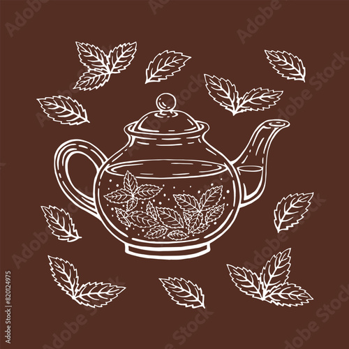 Teapot, mint leaves, tea. Hand drawn vector illustration in outline style.