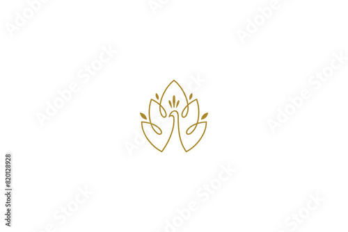 Leaf and peacock logo design concept