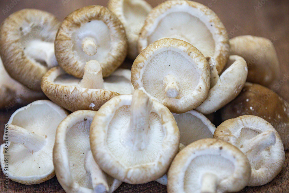 Fresh shitake or shiitake mushrooms (Lentinula edodes) in selective focus and fine details