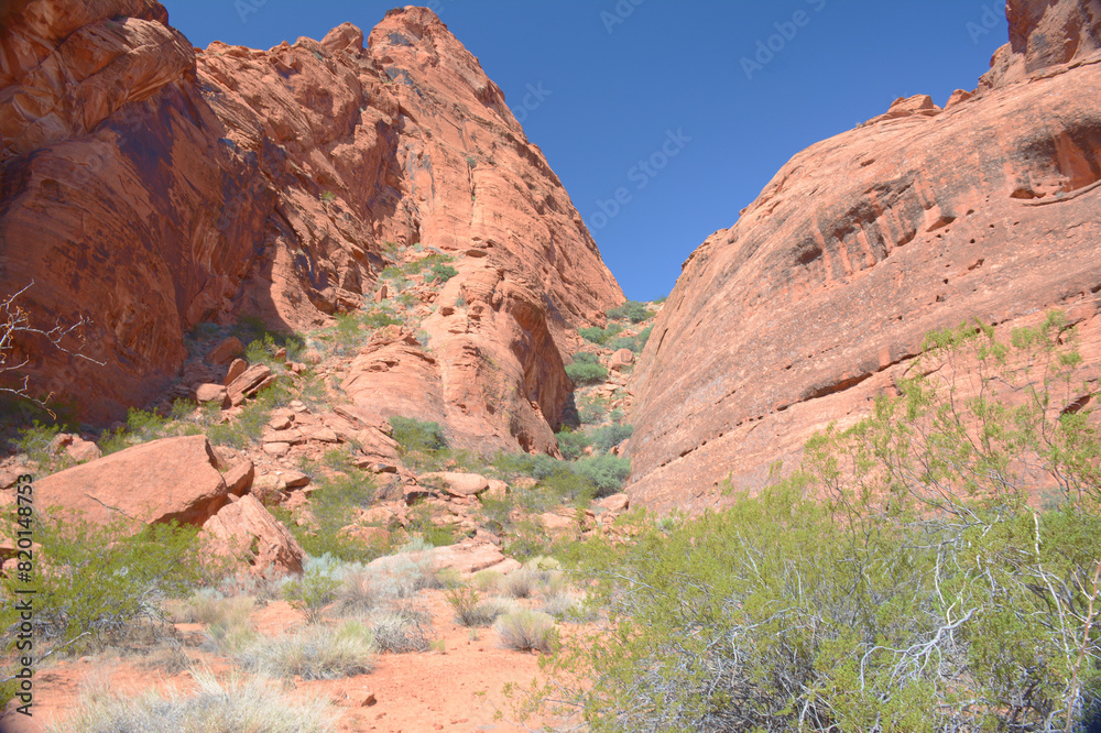 Fototapeta premium Sunny Jenny Canyon Vista - Snow Canyon State Park