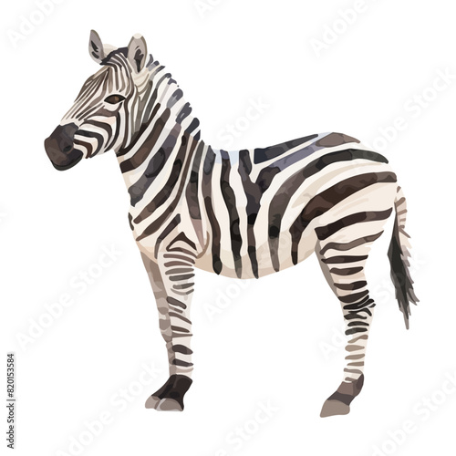 Watercolor drawing of a zebra, isolated on a white background, Illustration painting, zebra vector, drawing, design art, clipart image, Graphic logo