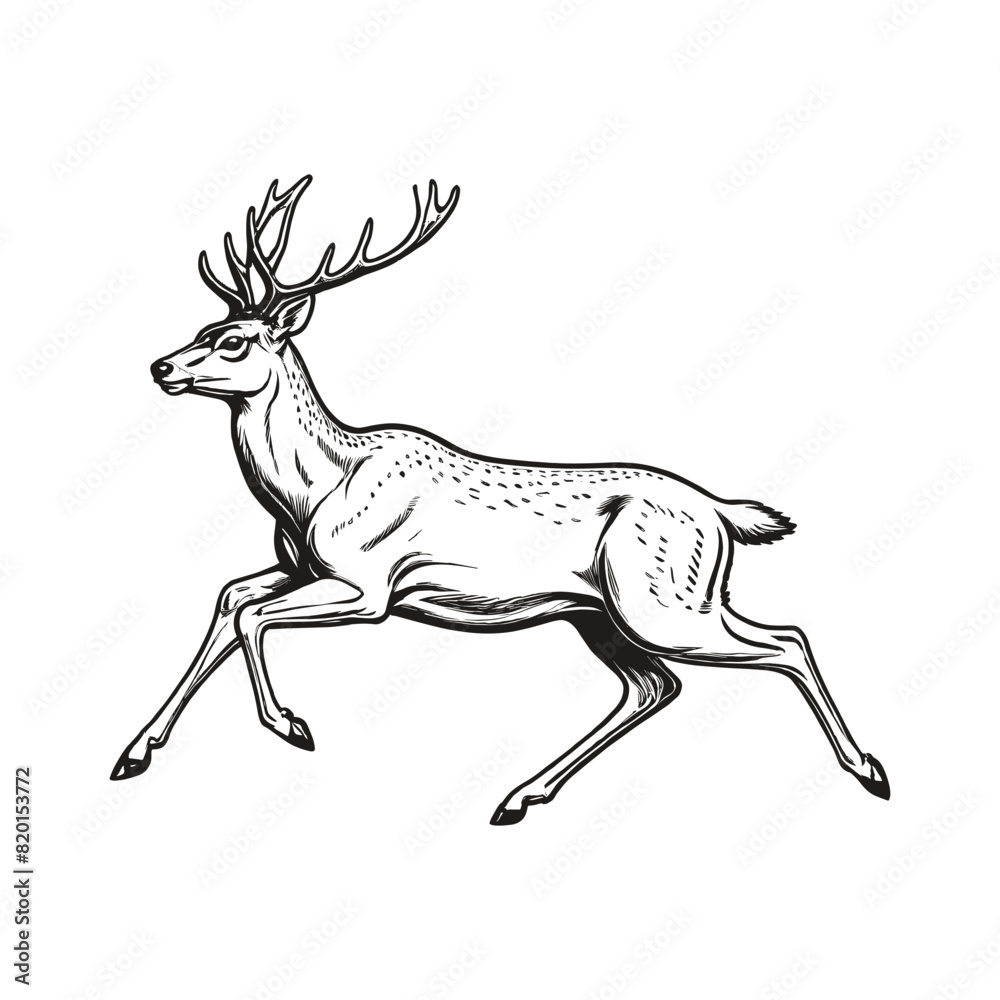 Fototapeta premium Hand Drawn Reindeer Running Illustration Vintage Deer