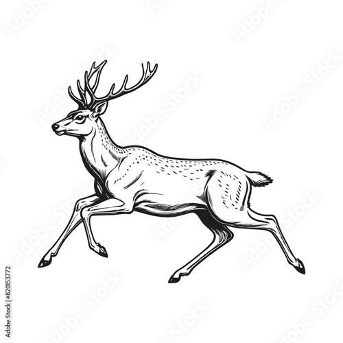 Hand Drawn Reindeer Running Illustration Vintage Deer