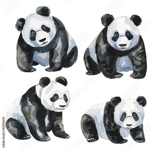 Watercolor vector of a panda set collection , isolated on a white background, design art, drawing clipart, Illustration painting, Graphic logo, panda vector  © mosio