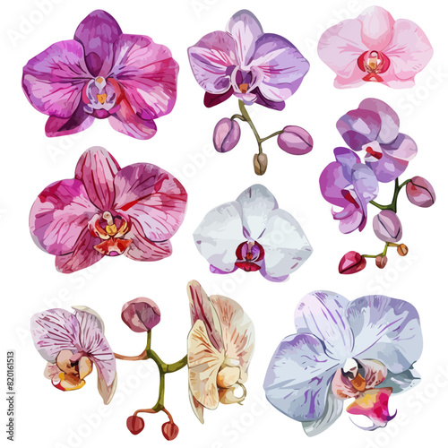 Watercolor painting vector of a orchid flower set collection , isolated on a white background, orchid vector, clipart Illustration, Graphic logo, drawing design art, clipart image