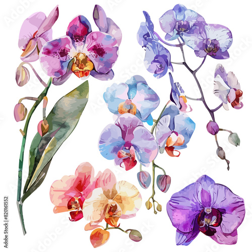 Watercolor clipart vector of a orchid flower set collection , isolated on a white background, orchid vector, Illustration painting, Graphic logo, drawing design art