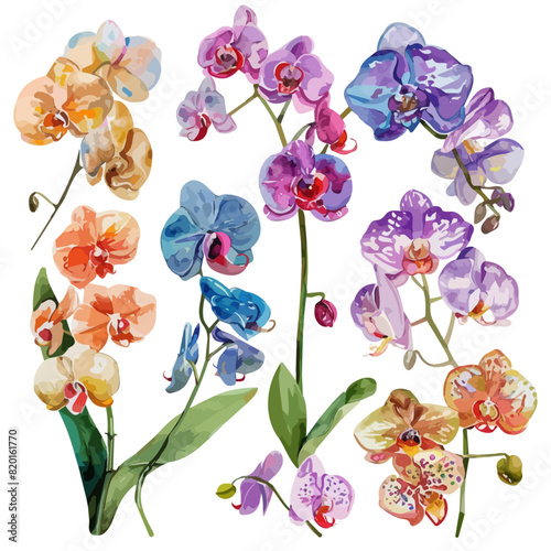Watercolor vector of a orchid flower set collection , isolated on a white background, design art, drawing clipart, Illustration painting, Graphic logo, orchid vector 