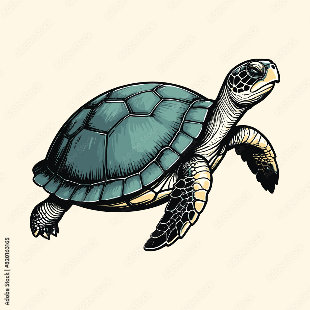 Obraz premium Hand Drawn Turtle Illustration Vintage Engraved
