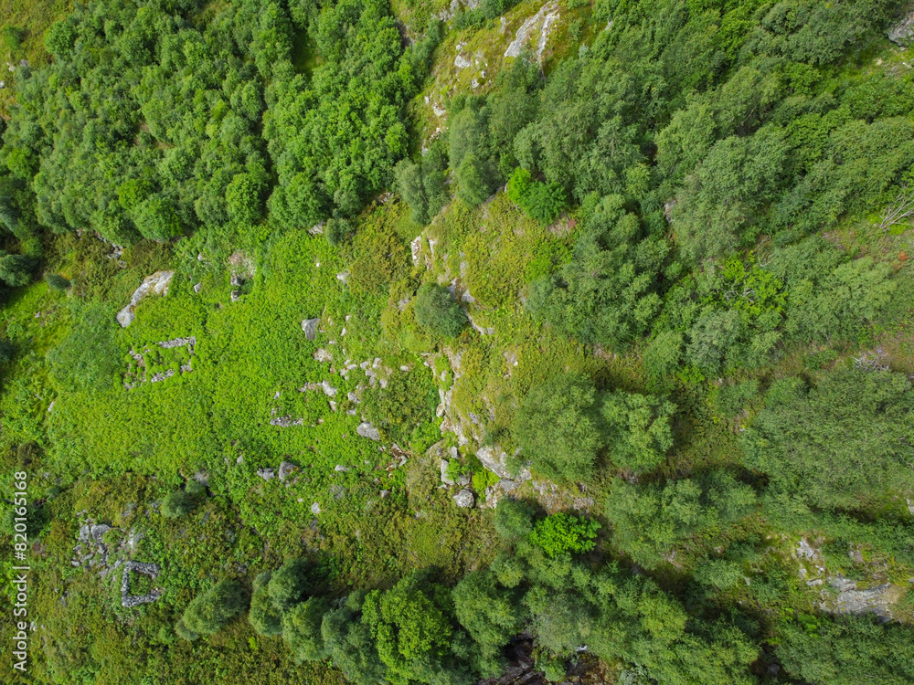 Drone photo. Top view of the green trees of the Norwegian mountains. Drone photo. Top view of the green trees of the Norwegian mountains.