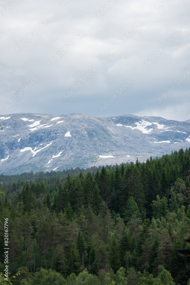 beautiful landscape with a Norwegian mountain peak with snow on it and green conifers below beautiful landscape with a Norwegian mountain peak with snow on it and green conifers below