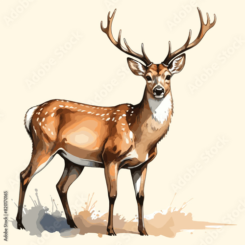Reindeer Watercolor Illustration