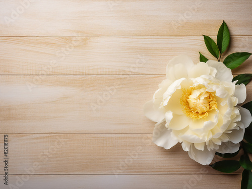 A solitary beige-white peony rests on weathered yellow wood  a textured background