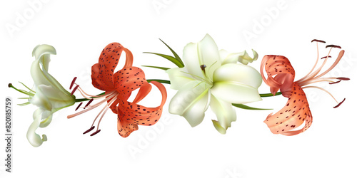 Flowers. Floral background. Bouquet of white and tiger lilies. Tropical. Red. Green. Border. 