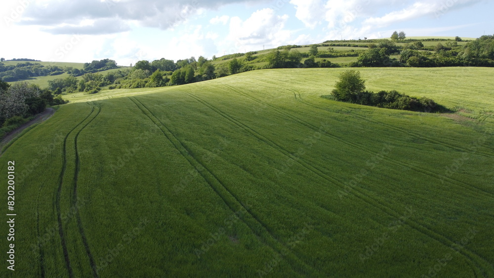 green field green field