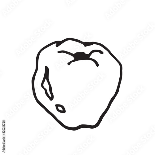 Quince fruit hand drawn vector illustration on isolated white