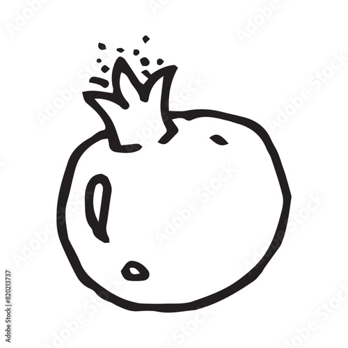 Pomegranate hand drawn vector illustration