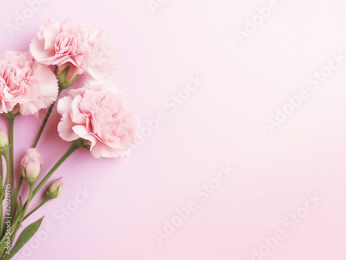 Pastel background provides a serene setting for pink carnation flowers in flat lay