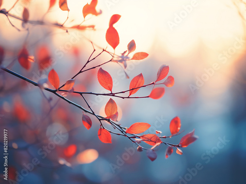 Bokeh background adorned with winter hues from GA, USA