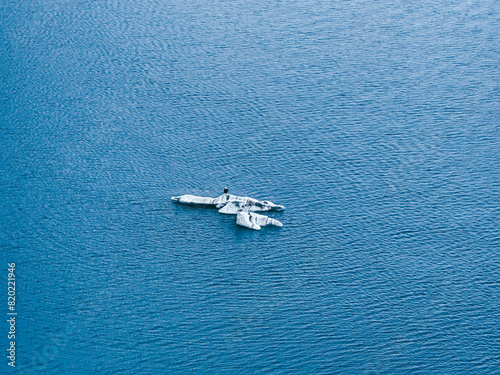 Lone eagle rests on floating iceberg in Glacier Bay National Park, Alaska, at Johns Hopkins Inlet. Blue water surrounds the growler or bergy bit. photo