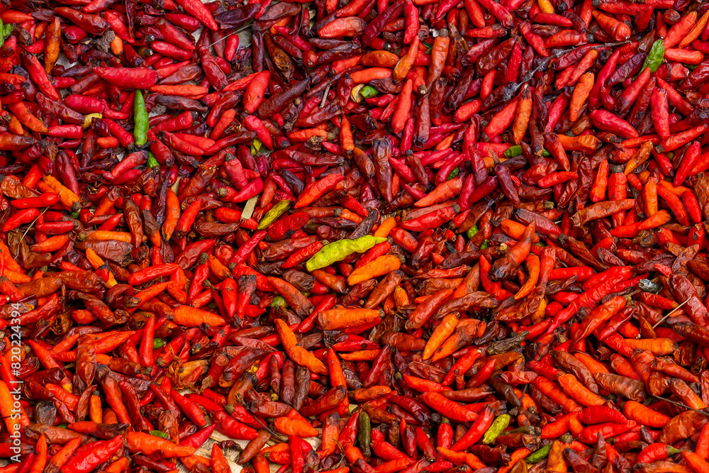 Ethiopia, fresh red chilly pepper. 