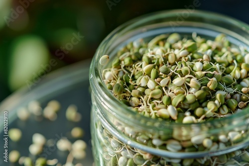 Raw green buckwheat sprouted cereals, green buck wheat grains in jar, uncooked kasha sprouts heap