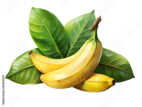 Yellow bananas with green leaves on a white background, green leaves, white background,