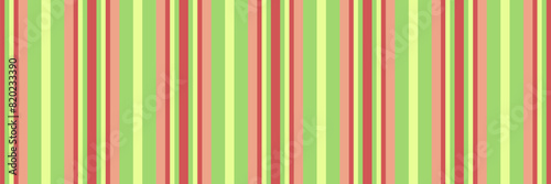 Form texture lines stripe, multicolored vector background textile. Victorian pattern vertical fabric seamless in green and red colors.