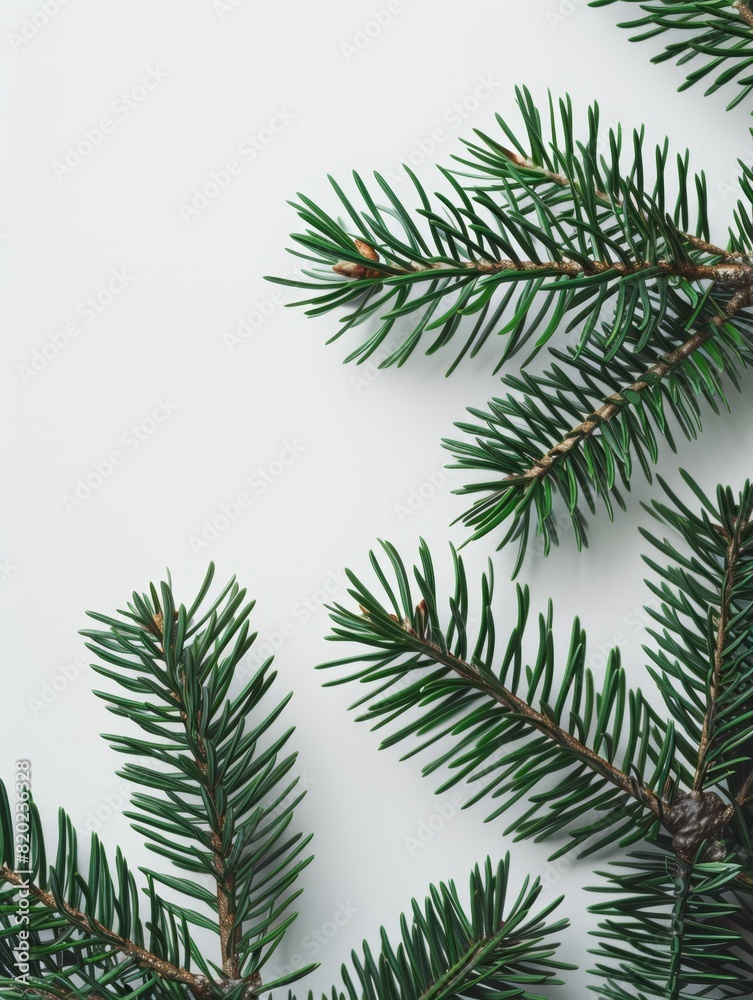 Christmas Background Christmas Background