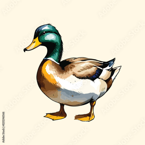 Watercolor Goose Swim Duck Illustration photo