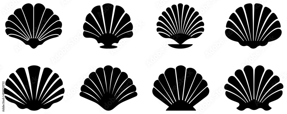 Set of sea shell icons. Vector illustration isolated on white background