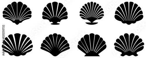 Set of sea shell icons. Vector illustration isolated on white background